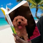 Alba Frank - Facebook
