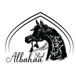 AL BAHAA STUD _ مربط البهاء - @al.bahaa_stud - Instagram