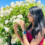 Alba Jose - @albajosemathew - Instagram