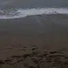 albamana - @albamanar47 - TikTok