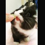 Yi-lun Huang - @albee_huang_ - Instagram