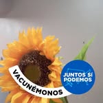 Alberto Agosto - @alberto.agosto.5015 - Instagram