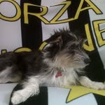 Alberto Agostoni - @albertoagostoni - Instagram