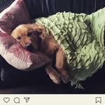 Albert Allison - @albert.allison77 - Instagram