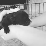 Albert Alsina - @alsina_albert - Instagram