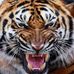 Albert Alton - Facebook