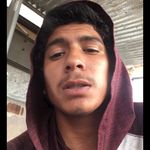 Albert Amescua - @albertamescua420 - Instagram