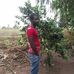 Albert Amini - Facebook