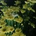 Albert Amper - Facebook