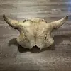 Albertan11 - @albertan11 - TikTok