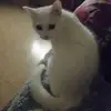 albertancel5 - @albertancel5 - TikTok