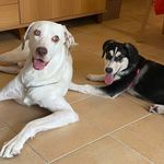 Albert & Aira - @albert_and_aira - Instagram