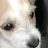bert - @albertaranda - TikTok