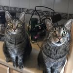 Albert & Eli - @albert_and_eli - Instagram