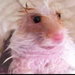 Albert - @albertandelizdr - Instagram