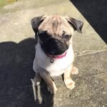 Joshua King - @albertandelsie - Instagram