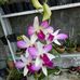 Albert Andreano - Facebook