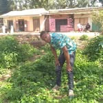 Albert Andrew - @albert.andrew.96930 - Instagram