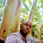 Albert Andrew - @albertandrew33 - Instagram