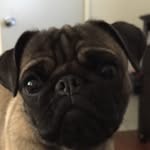 Albert Hernandez - @albert_andrew_andrew - Instagram