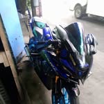 andrin albert - @andrinalbert557 - Instagram