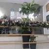 Albert Angeles - @albert.angeles2 - TikTok