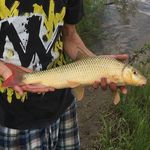 Alberta Angling - @alberta_angling19 - Instagram