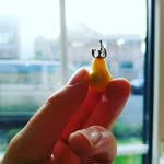 Albert Farm - @albert_animal - Instagram