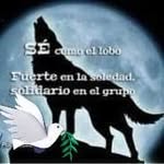 Albert Aparicio - @albert.aparicio.965 - Instagram