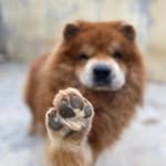 Albert Aragon - @albert.aragon - Instagram