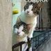 Albert Aranda Osorio - Facebook