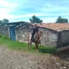 albertaraujo277 - @albertaraujo277 - TikTok