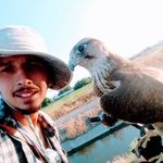 Alberto Arceo - @alberto_arceo - Instagram