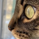 Archibald Albertovich - @archibald_albertovich_ - Instagram