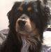 Albert Arechiga - Facebook