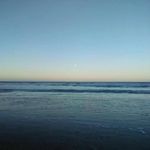Albert Arévalo - @albertarevalo_ - Instagram