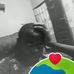 Albert Argo - Facebook