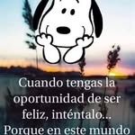 Alberto Armendáriz - @alberto.armendariz.52438 - Instagram