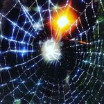 Albert Armijo - @armijo.albert - Instagram