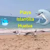 ALBERT ARMIJOS - @albertarmijos - TikTok