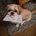 Albert Armour-Chadwick - Facebook