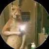 ️ - @albert.arriaga5 - TikTok