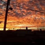 Albert Arriaga - @alberarriaga6 - Instagram