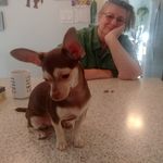 Albert Beck - @albert.beck.5876 - Instagram