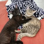 Albert Daisy Blackburn-Menke - @albertdaisy.b.m21102021 - Instagram
