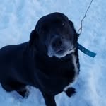 Ian Blackburn - @albert_blackburn.dawg - Instagram