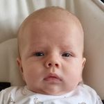 Albert Blom - @albert.blom.98 - Instagram