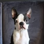 Aᥣbᥱrt Bᥣᥙᥱ Eყᥱ💙 - @albertblueeye - Instagram