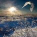 Albert Blue - Facebook