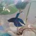 Albert Blue - Facebook
